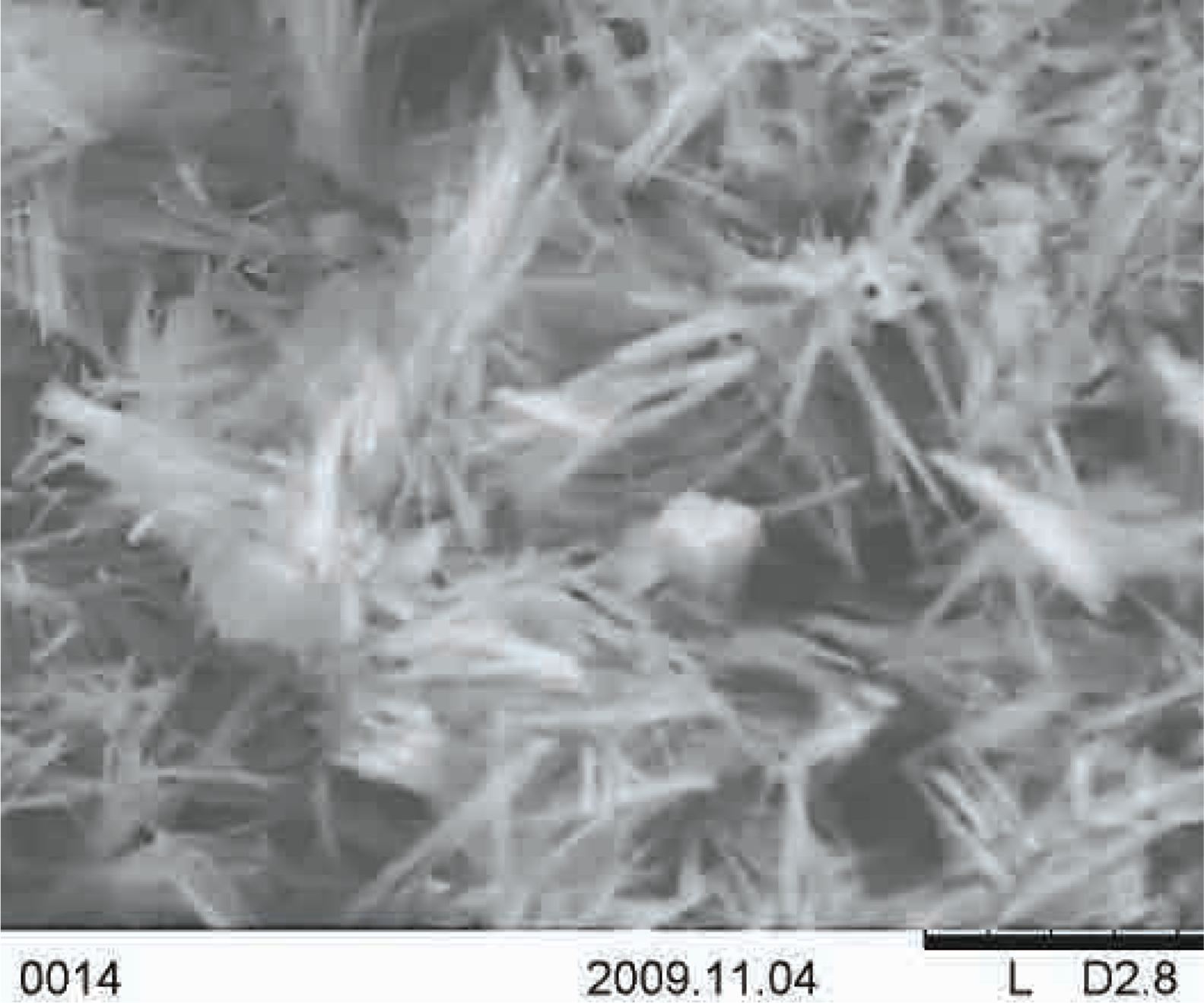 SEM image of microcrystalline Paclitaxel