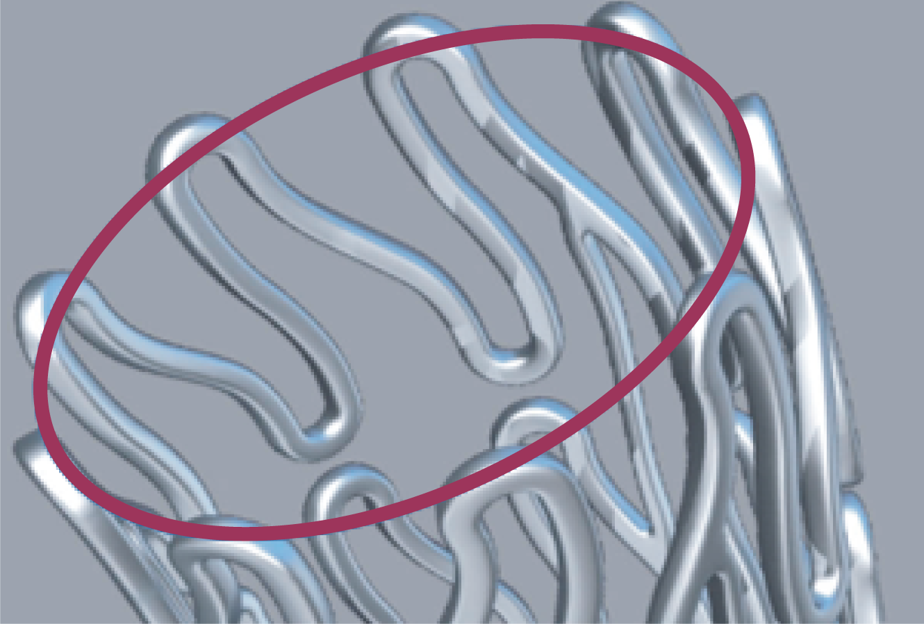 9 crown stent structure render