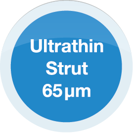 65 micron ultrathin strut close-up